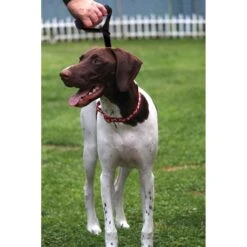 Leashboss Traffic Handle Short Dog Leash -Blue Buffalo Shop 699110 PT5. AC SS1800 V1669930578