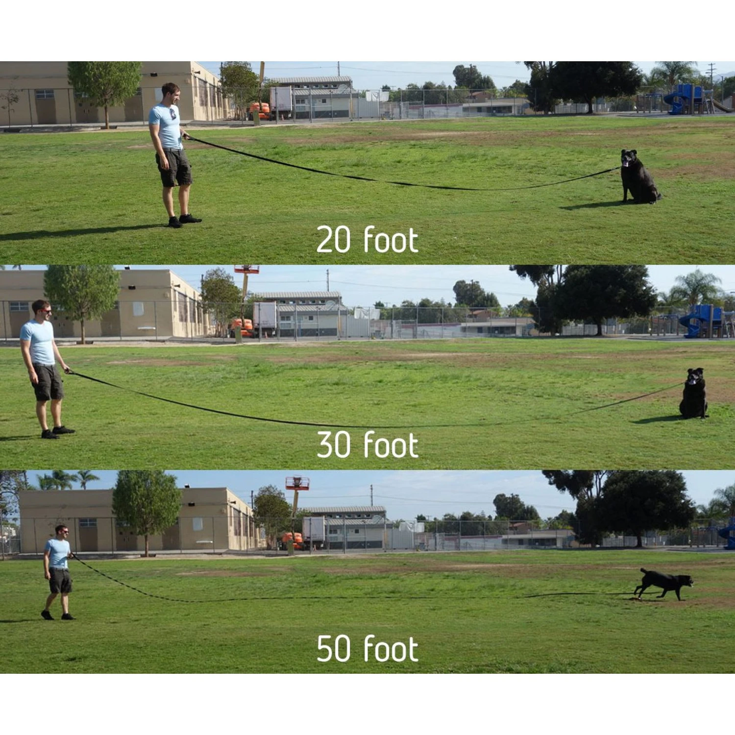 Leashboss Rubber Handle Dog Leash 7 Leashboss Rubber Handle Dog Leash - Image 5