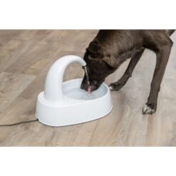 TRIXIE Curved Stream Cat & Dog Water Fountain, White, 84.5-oz -Blue Buffalo Shop 701774 PT2. AC SS1800 V1688752030