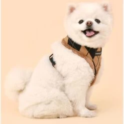 Puppia Jaden A No Pull Dog Harness 8 Puppia Jaden A No Pull Dog Harness -Blue Buffalo Shop 705686 PT2. AC SS1800 V1668107059