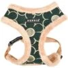 Puppia Florent A No Pull Dog Harness 1 Puppia Florent A No Pull Dog Harness -Blue Buffalo Shop 705854 MAIN. AC SS1800 V1668095028