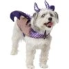 Frisco Dragon Dog & Cat Costume Accessory 2 Frisco Dragon Dog & Cat Costume Accessory -Blue Buffalo Shop 706582 MAIN. AC SS1800 V1689271214