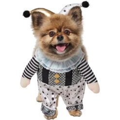 Frisco Front Walking Glitter Clown Dog & Cat Costume 13 Frisco Front Walking Glitter Clown Dog & Cat Costume -Blue Buffalo Shop 707542 PT2. AC SS1800 V1689351699
