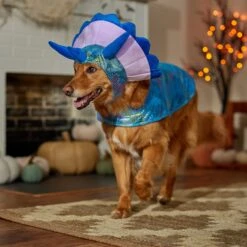 Frisco Dinosaur Dog & Cat Costume -Blue Buffalo Shop 707894 PT7. AC SS1800 V1689350593