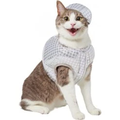 Frisco Disco Ball Dog & Cat Costume 12 Frisco Disco Ball Dog & Cat Costume -Blue Buffalo Shop 707934 PT2. AC SS1800 V1689283755