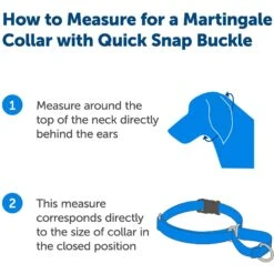 PetSafe Quick Snap Buckle Nylon Martingale Dog Collar -Blue Buffalo Shop 70814 PT2. AC SS1800 V1665526198