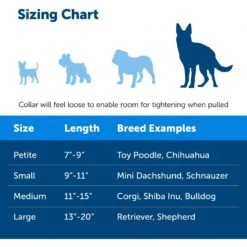 PetSafe Quick Snap Buckle Nylon Martingale Dog Collar -Blue Buffalo Shop 70814 PT3. AC SS1800 V1665526493