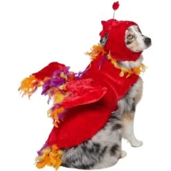 Frisco Flying Phoenix Dog & Cat Costume