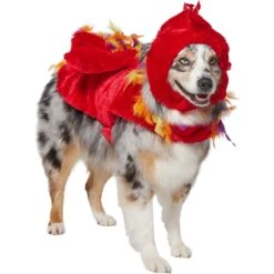Frisco Flying Phoenix Dog & Cat Costume -Blue Buffalo Shop 708150 PT3. AC SS1800 V1691084928