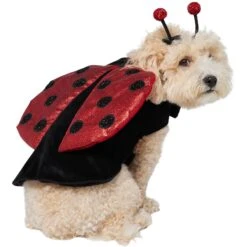 Frisco Glittered Ladybug Dog & Cat Costume -Blue Buffalo Shop 708254 PT3. AC SS1800 V1689350986
