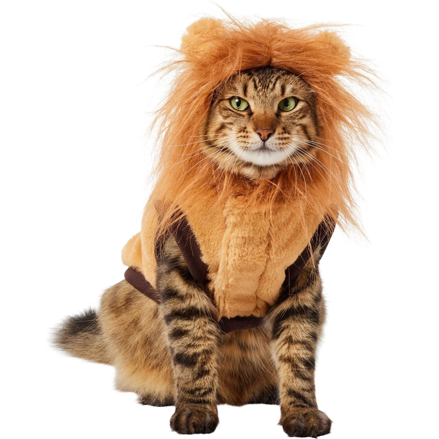 Frisco Lion Love Dog & Cat Costume 5 Frisco Lion Love Dog & Cat Costume - Image 3