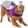 Frisco Shooting Stars Dog & Cat Costume -Blue Buffalo Shop 708614 MAIN. AC SS1800 V1689340940