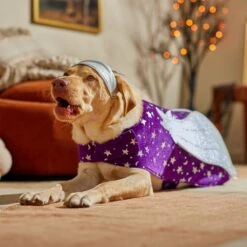 Frisco Shooting Stars Dog & Cat Costume 16 Frisco Shooting Stars Dog & Cat Costume -Blue Buffalo Shop 708614 PT7. AC SS1800 V1689278699