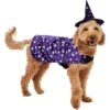 Frisco Cosmic Witch Dog & Cat Costume -Blue Buffalo Shop 708982 MAIN. AC SS1800 V1689282565