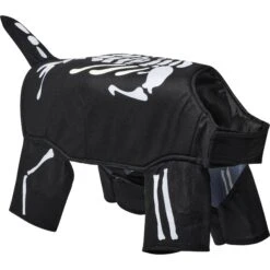 Frisco Glow In The Dark Skeleton Dog & Cat Costume 13 Frisco Glow In The Dark Skeleton Dog & Cat Costume -Blue Buffalo Shop 709038 PT3. AC SS1800 V1689351051