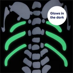 Frisco Glow In The Dark Skeleton Dog & Cat Costume 15 Frisco Glow In The Dark Skeleton Dog & Cat Costume -Blue Buffalo Shop 709038 PT5. AC SS1800 V1689340910