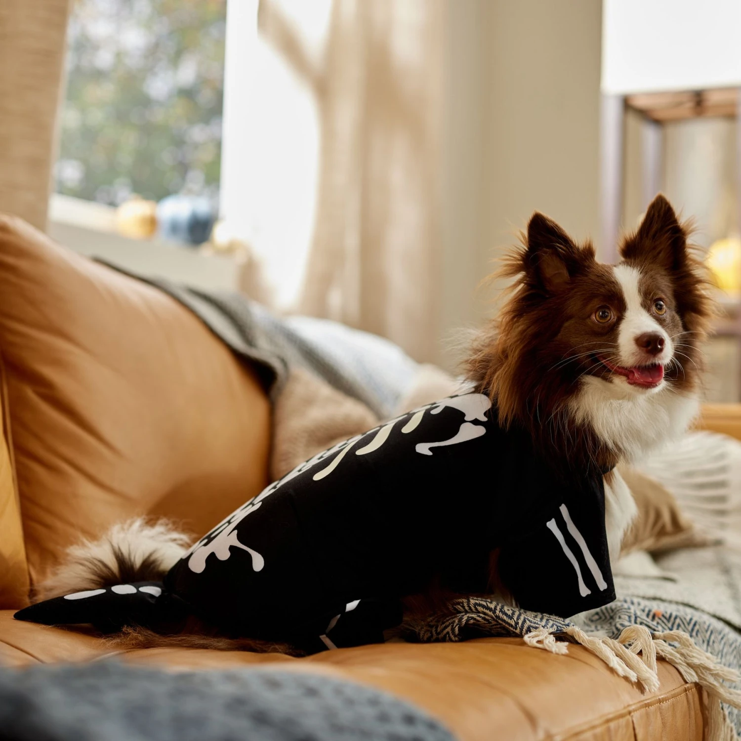 Frisco Glow In The Dark Skeleton Dog & Cat Costume 9 Frisco Glow In The Dark Skeleton Dog & Cat Costume - Image 7