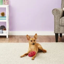 JW Pet Hol-ee Football Dog Toy, Color Varies -Blue Buffalo Shop 70987 PT1. AC SS1800 V1548967383