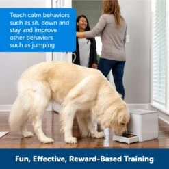 PetSafe Teach & Treat Remote Treat Dispenser, White 14 PetSafe Teach & Treat Remote Treat Dispenser, White -Blue Buffalo Shop 710126 PT5. AC SS1800 V1668198443