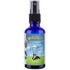 PetTest Colloidal Silver Dog Spray Treatment, 8-oz Bottle 2 PetTest Colloidal Silver Dog Spray Treatment, 8-oz Bottle -Blue Buffalo Shop 710214 MAIN. AC SS1800 V1669904192