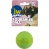 JW Pet ISqueak Ball Dog Toy, Color Varies -Blue Buffalo Shop 71041 MAIN. AC SS1800 V1534452151