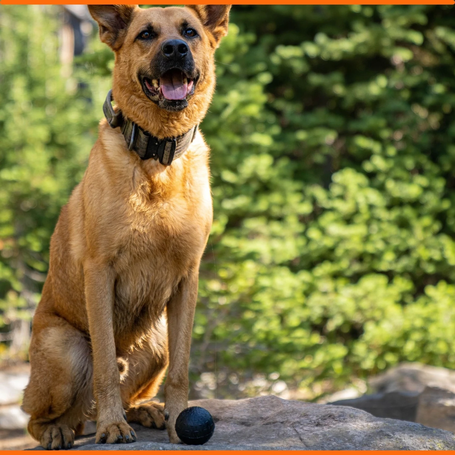 Monster K9 Dog Toys Ultra Durable Dog Ball, Black 4 Monster K9 Dog Toys Ultra Durable Dog Ball, Black - Image 2