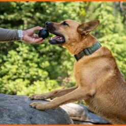 Monster K9 Dog Toys Ultra Durable Dog Ball, Black 15 Monster K9 Dog Toys Ultra Durable Dog Ball, Black -Blue Buffalo Shop 711358 PT6. AC SS1800 V1668809678