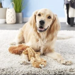 Ethical Pet Skinneeez Forest Series Squirrel Stuffing-Free Squeaky Plush Dog Toy -Blue Buffalo Shop 71344 PT7. AC SS1800 V1527093148