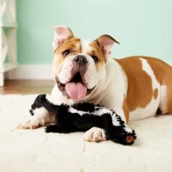 Ethical Pet Skinneeez Forest Series Skunk Stuffing-Free Squeaky Plush Dog Toy 9 Ethical Pet Skinneeez Forest Series Skunk Stuffing-Free Squeaky Plush Dog Toy -Blue Buffalo Shop 71347 PT7. AC SS1800 V1527093166