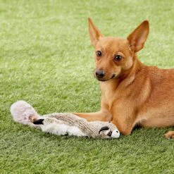 Ethical Pet Skinneeez Forest Series Raccoon Stuffing-Free Squeaky Plush Dog Toy 9 Ethical Pet Skinneeez Forest Series Raccoon Stuffing-Free Squeaky Plush Dog Toy -Blue Buffalo Shop 71349 PT7. AC SS1800 V1527093181