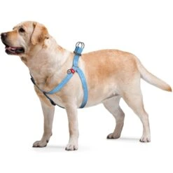 WAUDOG Re-Cotton Recycled Material QR Passport Dog Harness 9 WAUDOG Re-Cotton Recycled Material QR Passport Dog Harness -Blue Buffalo Shop 717318 PT3. AC SS1800 V1669655456