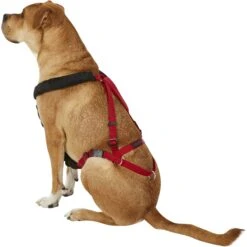 Ultra Paws One Adjustable Pulling Dog Harness -Blue Buffalo Shop 71760 PT3. AC SS1800 V1550091756