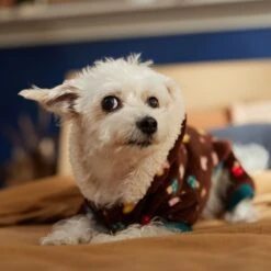 Frisco Cozy Plush Fleece Dog & Cat PJs, Mushrooms -Blue Buffalo Shop 718950 PT7. AC SS1800 V1692378098