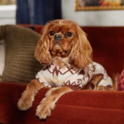 Frisco Fairisle Cozy Plush Fleece Dog & Cat PJs, Cream 16 Frisco Fairisle Cozy Plush Fleece Dog & Cat PJs, Cream -Blue Buffalo Shop 719006 PT7. AC SS1800 V1692376367