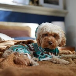 Frisco Fairisle Cozy Plush Fleece Dog & Cat PJs, Green -Blue Buffalo Shop 719054 PT7. AC SS1800 V1692375980