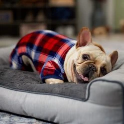 Frisco Cozy Plush Fleece Dog & Cat PJs, Plaid -Blue Buffalo Shop 719102 PT7. AC SS1800 V1692378973