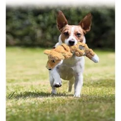 KONG Scrunch Knots Fox Dog Toy -Blue Buffalo Shop 71940 PT6. AC SS1800 V1603146695