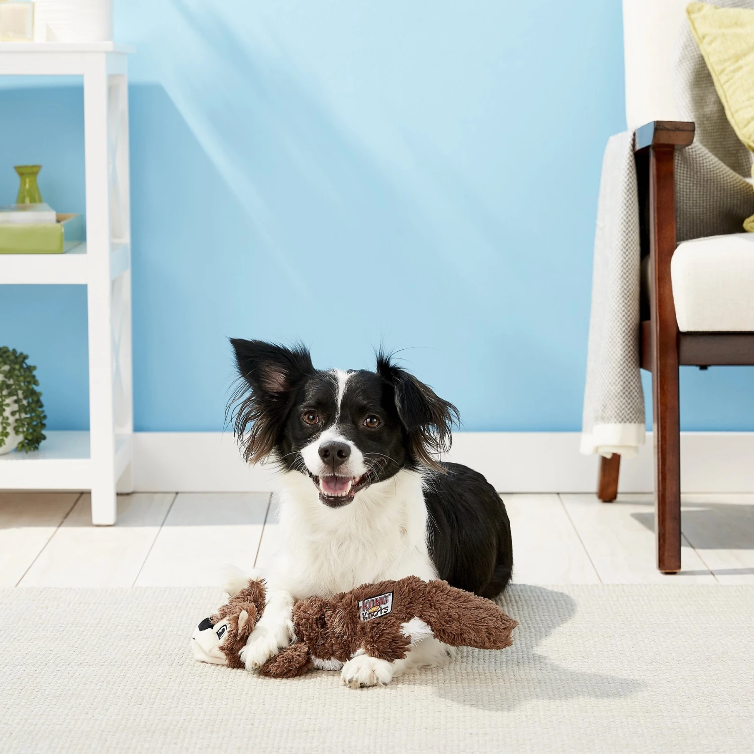 KONG Scrunch Knots Squirrel Dog Toy 7 KONG Scrunch Knots Squirrel Dog Toy - Image 5