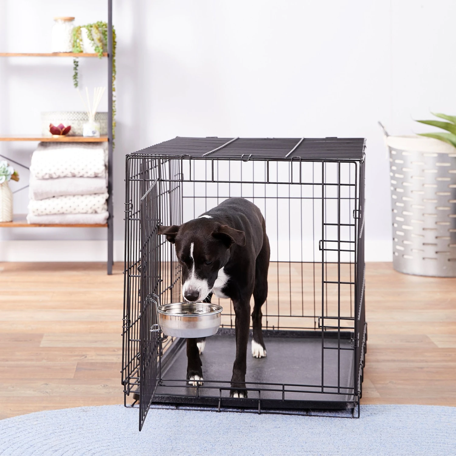 Maslow Stainless Steel Kennel Dog Bowl 6 Maslow Stainless Steel Kennel Dog Bowl - Image 4