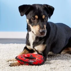 Tuffy's Junior Ring Squeaky Plush Dog Toy -Blue Buffalo Shop 72145 PT3. AC SS1800 V1589493099