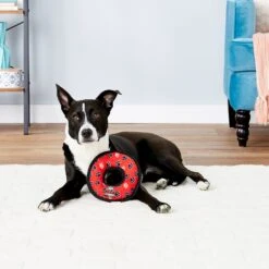 Tuffy's Junior Ring Squeaky Plush Dog Toy -Blue Buffalo Shop 72145 PT5. AC SS1800 V1589493117