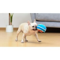 Fetch For Pets Kellogg's Rice Krispies Bowl Plush Figure Squeaky Dog Toy, Small 11 Fetch For Pets Kellogg's Rice Krispies Bowl Plush Figure Squeaky Dog Toy, Small -Blue Buffalo Shop 728446 PT4. AC SS1800 V1682609395
