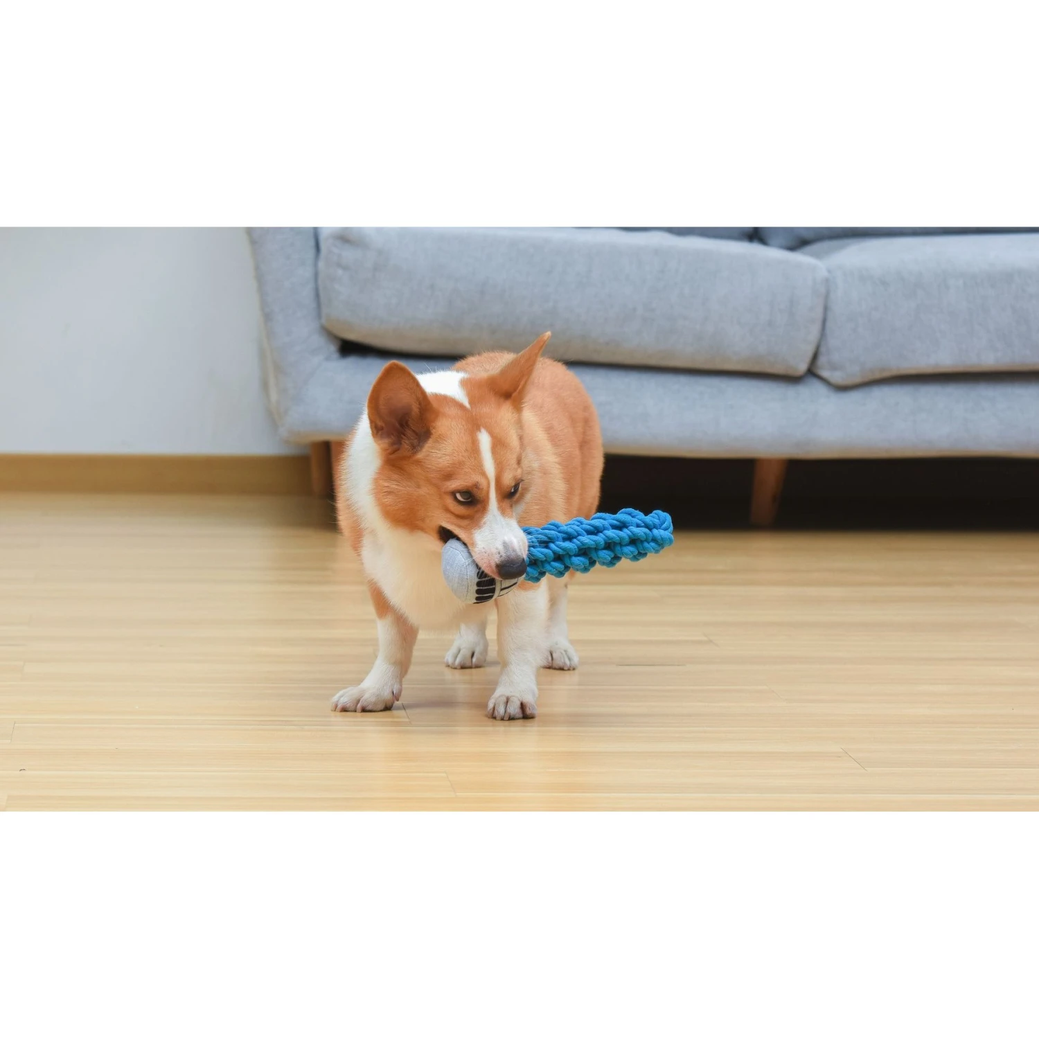 Fetch For Pets Star Wars Blue Lightsaber Oxford Rope Squeaky Dog Toy 7 Fetch For Pets Star Wars Blue Lightsaber Oxford Rope Squeaky Dog Toy - Image 5