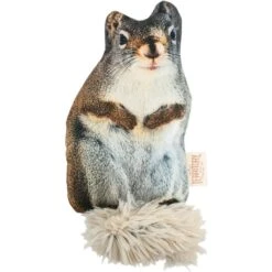 Territory Floppy Friends Rabbit & Squirrel Dog Toy Bundle, 2 Count -Blue Buffalo Shop 729262 PT2. AC SS1800 V1670006796