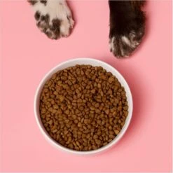 Waggo Cling Non-Skid Silicone Bottom Dog & Cat Bowl 10 Waggo Cling Non-Skid Silicone Bottom Dog & Cat Bowl -Blue Buffalo Shop 731438 PT2. AC SS1800 V1698437624