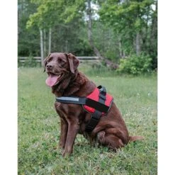 Industrial Puppy Reflective Hook & Loop Strap Dog Harness -Blue Buffalo Shop 732654 PT6. AC SS1800 V1670516901