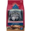 Blue Buffalo Wilderness Adult High Protein Natural Salmon & Wholesome Grains Dry Dog Food -Blue Buffalo Shop 733494 MAIN. AC SS1800 V1694547092