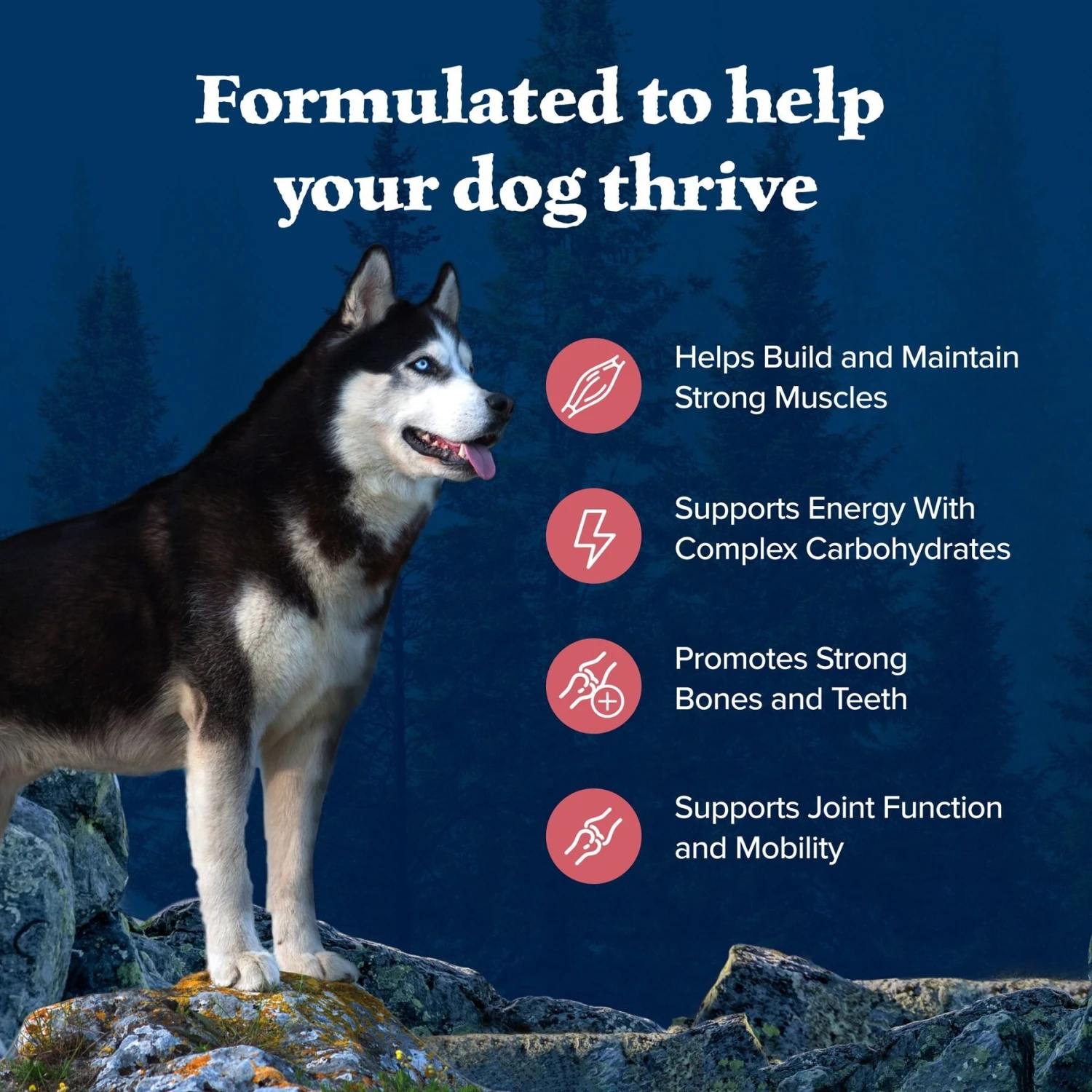 Blue Buffalo Wilderness Adult High Protein Natural Salmon & Wholesome Grains Dry Dog Food 6 Blue Buffalo Wilderness Adult High Protein Natural Salmon & Wholesome Grains Dry Dog Food - Image 4