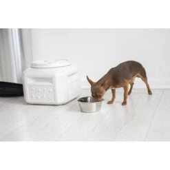 Gamma2 Vittles Vault Plus Pet Food Storage -Blue Buffalo Shop 73474 PT3. AC SS1800 V1472050128