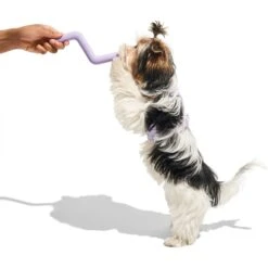 Wild One Bolt Bite Small Chew Dog Toy 9 Wild One Bolt Bite Small Chew Dog Toy -Blue Buffalo Shop 734862 PT3. AC SS1800 V1670877147